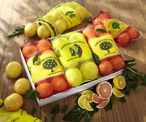 Holiday 6-Pack of Citrus