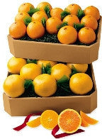 Navel Oranges & Ruby Red Grapefruit